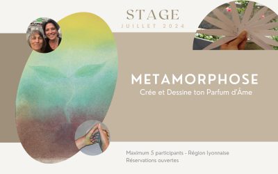 Stage Métamorphose Crée et Dessine ton Parfum d’âme du 18 au 21 Juillet 2024